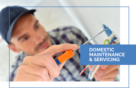 Domestic Maintenance & Servicing
